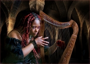 The-Harpist-Andy-White