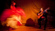 flamenco by r-albright