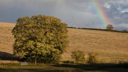 rainbow-with-rooks by r-albright