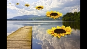 The Sunflower Squadron over Lake Menteith by John Day