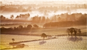 Mist in the Vale by Anna Stowe