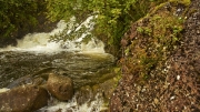 Boulder and Waterfall by Robert Albright