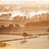 Mist in the Vale by Anna Stowe