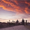 Dawn on Karlov Most by Anna Stowe