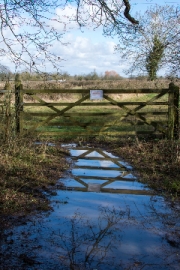 Gate Reflection by Terry Onslow