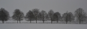 Lydiard Winter by Katherine Davis