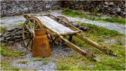 Irish Donkey Cart by Jim Bullock