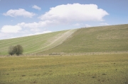 Wiltshire Landscape by Roger Smith