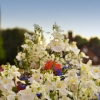 Marlborough in Bloom by Jon Simons