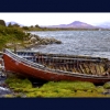 Beached by Jim Bullock