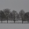 Lydiard Winter by Katherine Davis