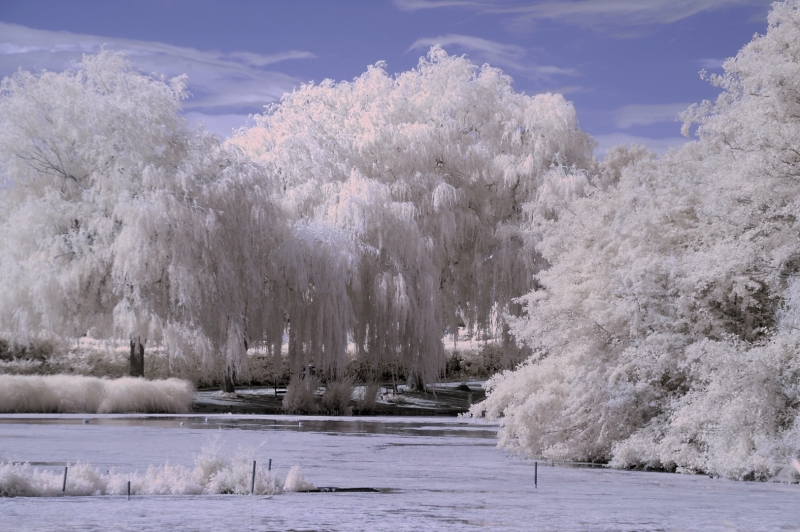 Liden Lagoon by Bob Berry
