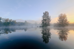 Bernard Hinton (Mouldon Park) 2024-2025