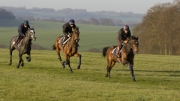 On the Gallops by Cathy Fitzherbert