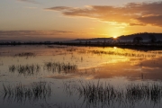 Morning Over the Levels by Andrew Purdy