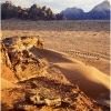 Evening in the Wadi by Anna Stowe