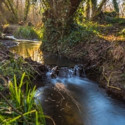 Winter Stream by Tony Marson