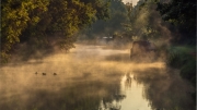 Early morning canal by Dave Young