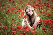 A Poppy For Her Hair by Terry Walters