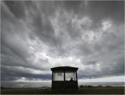 Sheltering from the storm by Mike Buy