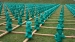 March of the Ampelmannchen by Richard Salt