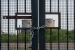 02 Power Lock_Terry Walters A