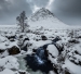 Dribble from the Mountain by David Taylor