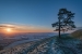 martinsell-jan-23