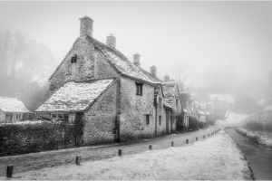 Mono Digital Competition 2024-2025