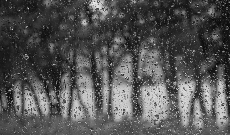 Trees-Through-Rainy-Window-by-Lyn-Day