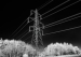Infra-Red-Pylon-by-Mike-Buy