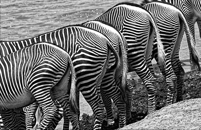 bottoms up