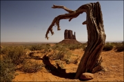 Mitten Monument Valley by Steve Edwards