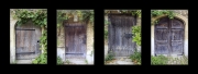 Old Doors by Mike Stanley