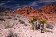 Red Rock Canyon by Steve Edwards