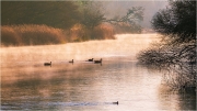 River Kennet at Chilton Foliat_54