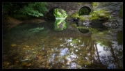 Bridge-reflection by Malcolm Cole