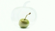 the-glass-apple-by-lesley-hunt
