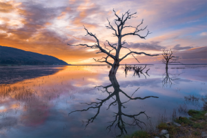 Monthly Digital Competition 3 2024-2025