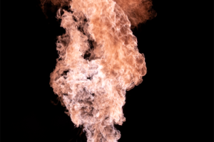 Monthly Digital Competition 4 2024-2025