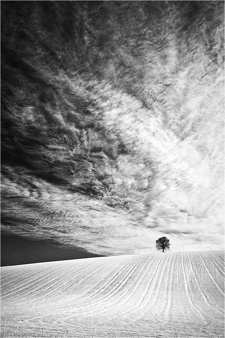 Skyscape by Anna Stowe