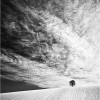 Skyscape by Anna Stowe