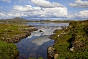 Cashel Bay by Jim Bullock