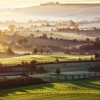 Autumn Awakening by Anna Stowe