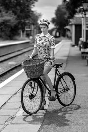 Vintage-Bicycle-by-Terry-Walters