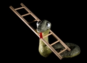Snakes-Ladders-by-Tony-Goodger-FRPS