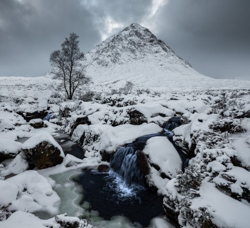 Dribble from the Mountain by David Taylor